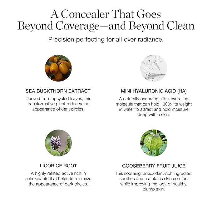 Ogee Complexion Perfecting Under Eye Concealer - Certified Organic Full Coverage Concealer - Buildable Coverage - DAPHNE 10.50C - Tan (Yellow-Neutral Undertones)