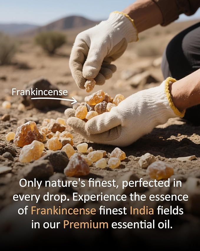 Pure Frankincense Essential Oil, 100% Pure Natural Frankincense Essential Oil, Premium Grade Essential Oils for Diffusers for Home, Skin, Care Massage, Soap, Aromatherapy, 4 Fl Oz | 120ml
