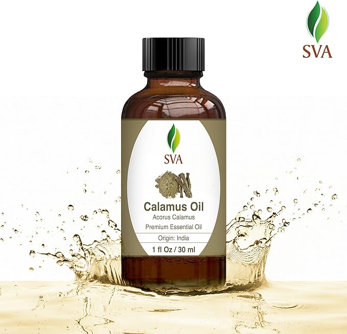 SVA Calamus Essential Oil – 1 Fl Oz – 100% Natural Calamus Oil - for Diffuser, Hair Care, Face, Skin Care, Aromatherapy, Scalp and Body Massage, Soap and Candle Making – with Dropper
