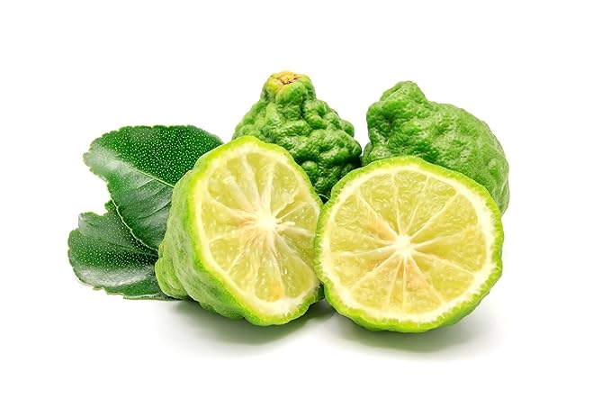 US Organic 100% Pure Bergamot Essential Oil, USDA Certified Organic, Cold Pressed, with Euro droppers (More Size Variations Available) (10 ml / .33 fl oz)
