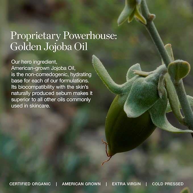 Ogee Complexion Perfecting Under Eye Concealer - Certified Organic Full Coverage Concealer - Buildable Coverage - BIRCH 0.25N - Fair (Neutral Undertones)