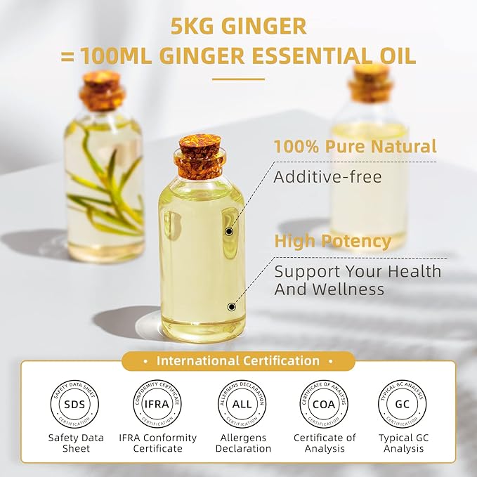 HIQILI 16 Fl Oz Ginger Oil, 100% Pure Natural Ginger Essential Oil for Hair, Massage, Skin - 500ML
