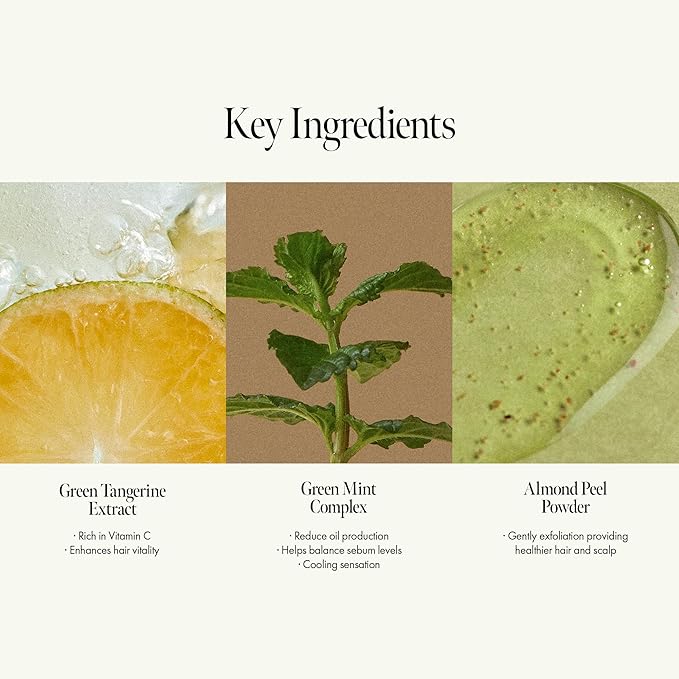 Lime Sunday Refresh Shampoo with Vitamin C, Korean Jeju Tangerine, Mint & Almond Powder for Oily Scalp Care – Exfoliating, Deep Cleansing, Lime Citrus Scent, Silicone & Paraben-Free (15.22 fl.oz)