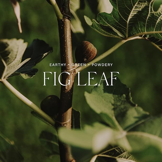 Antica Farmacista Body Moisturizer - Moisturizing Scented Lotion - Premium Body Moisturizer - Luxury Gift for Women & Men - Hand & Skin Hydration - Fig Leaf, 10 Fl Oz