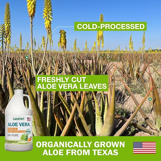 Pure Aloe Vera Drinkable Gel - Orange Tangerine Flavored - Cold-Processed Inner Filet - from Organic Fresh Leaves from Texas - for Heartburn Relief - Acid Reflux - 64 fl oz
