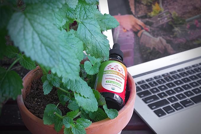 Eclectic Herb Organic Lemon Balm Extract - 2 oz - Non-GMO, Gluten-Free, Soy-Free, Dairy-Free - Pure Herbal Extract for Calming and Relaxation