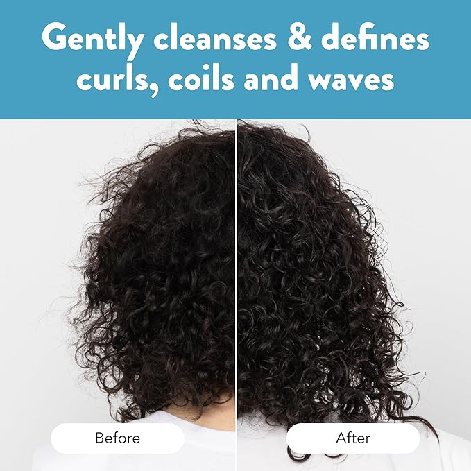 Ethique Curl Defining Solid Sulfate Free Shampoo Bar for Curly Hair - Professor Curl - Vegan, Eco-Friendly, Plastic-Free, Cruelty-Free, 3.88 oz (Pack of 1)