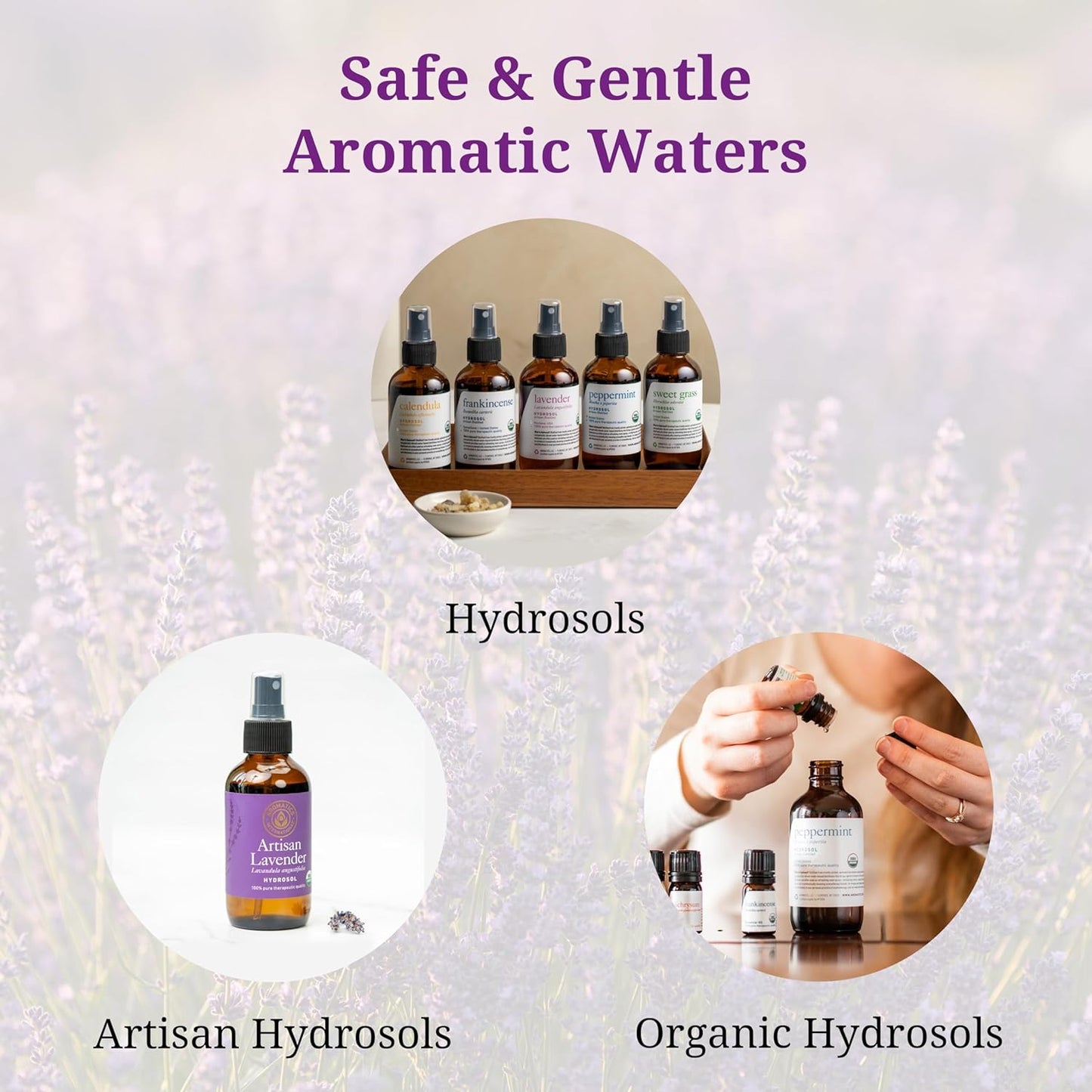 Aromatics International Hyssop Hydrosol 100ml | Herbal Aromatic Mist for Room Care