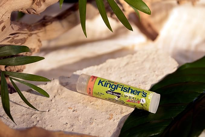 Lip Balm Mint,100% Natural Moisturizing Lip Balm, Ultra Hydrating Lip Care, Original Noni Oil & Virgin Coconut Oil, Fresh Mint Flavor Lip Care (Pack of 2)