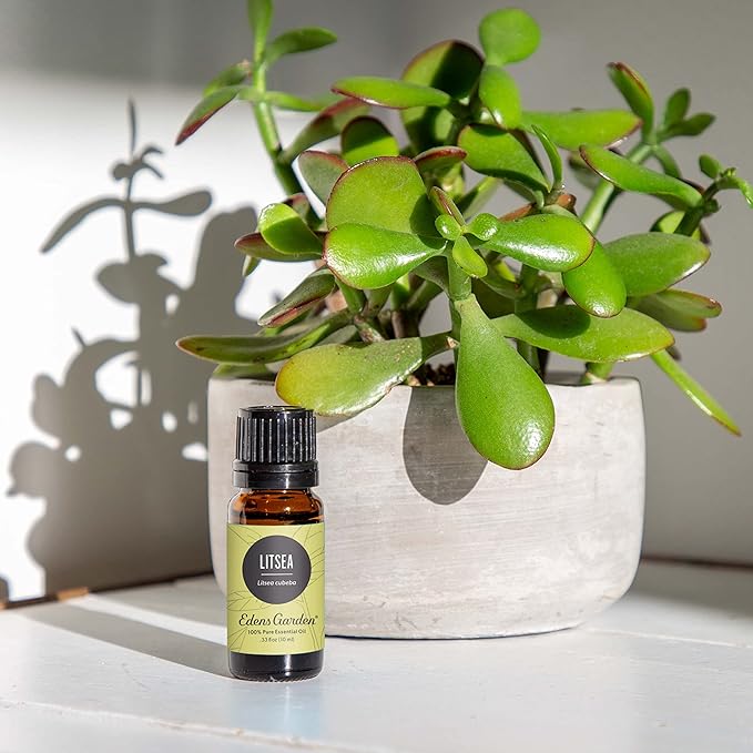 Edens Garden Litsea Essential Oil- 100% Pure Premium Grade, Undiluted, Natural, Therapeutic, Aromatherapy, The Best for Diffuser, Candle, Laundry, Humidifiers 10 ml (.33 fl oz)