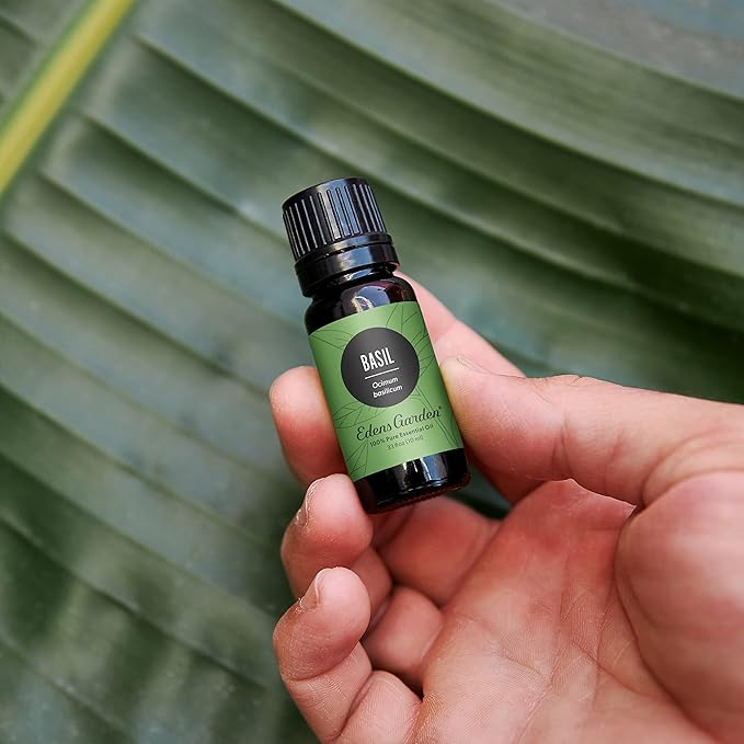 Edens Garden Basil Essential Oil- 100% Pure Premium Grade, Undiluted, Natural, Therapeutic, Aromatherapy, The Best for Diffuser, Skin, Candle, Laundry 30 ml (1 fl oz)