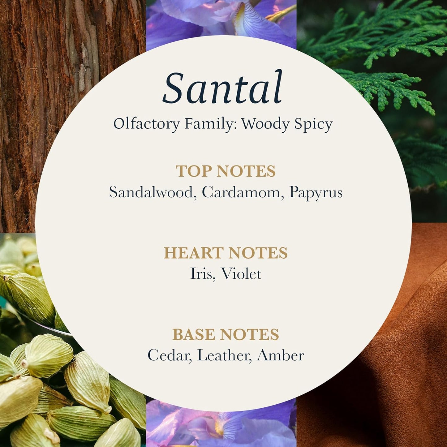 PuroSentido Santal Diffuser Oil – Luxury Hotel-Inspired Aroma with Sandalwood, Violet & Amber – Premium Fragrance Oil for Aromatherapy – Diffuser and Humidifier Compatible (500 ml/16 Fl Oz)